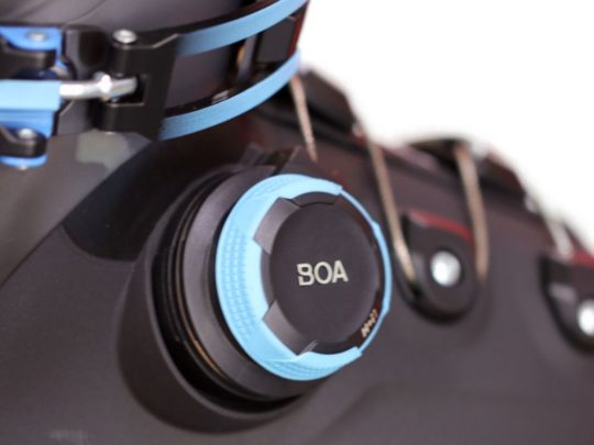 Lange Boa Close-up 2